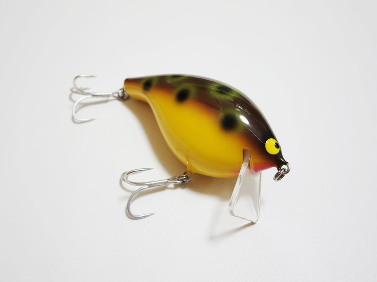Amazon.co.jp: ガウラクラフト シェイクヒップ 初期生産品 2 : ホーム